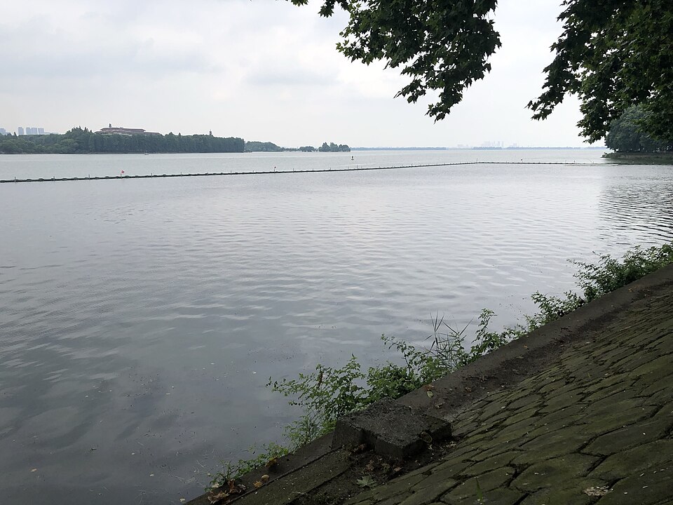 武汉东湖的湖面与岸边景色